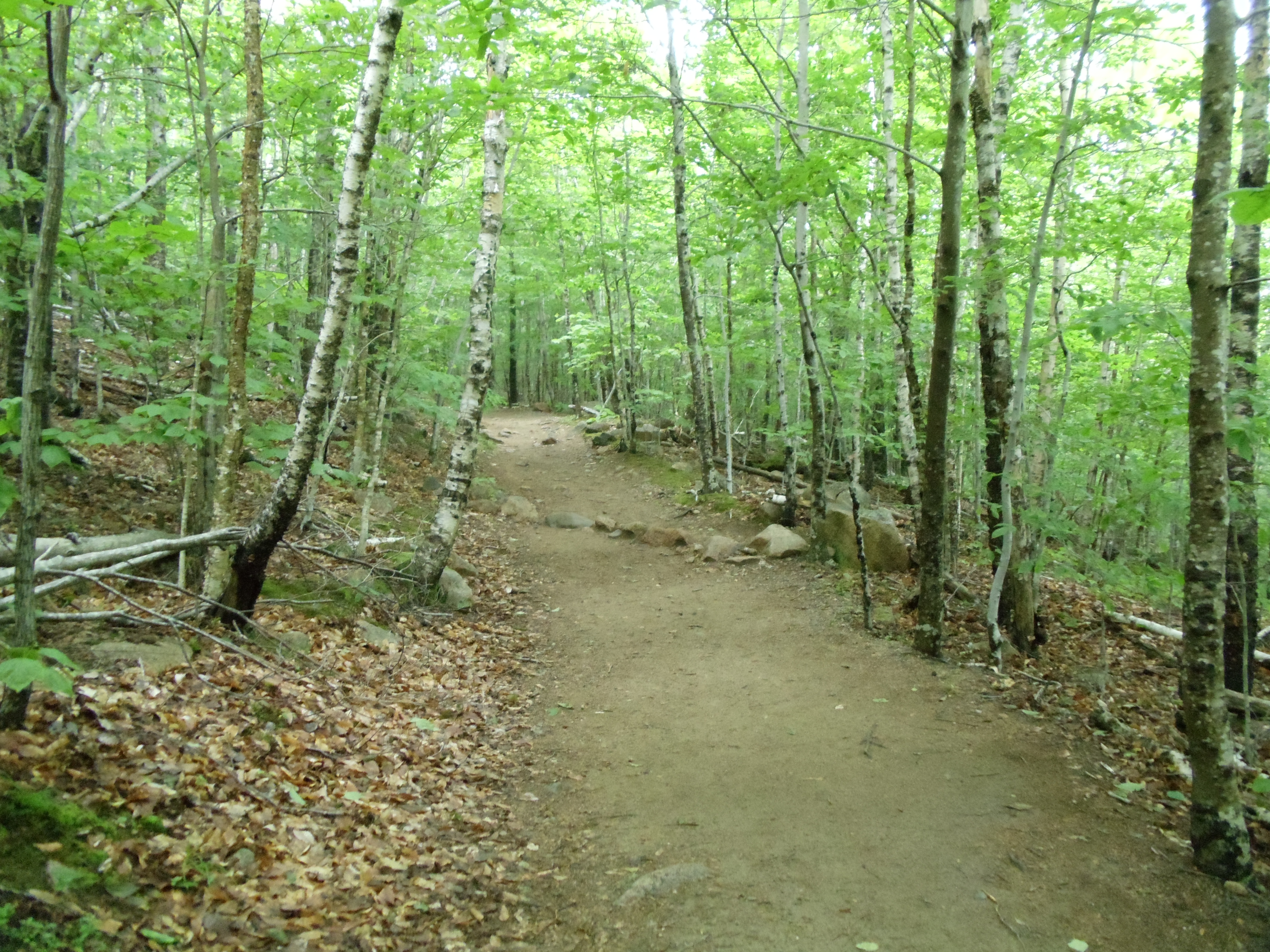 The Established Path of Discipleship